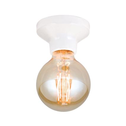 Потолочный светильник FROST 1xE27/60W/230V, белый