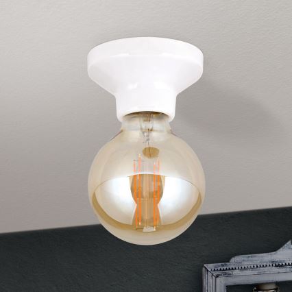 Потолочный светильник FROST 1xE27/60W/230V, белый