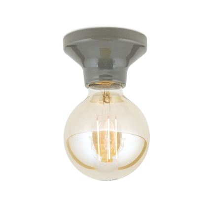 Потолочный светильник FROST 1xE27/60W/230V серый