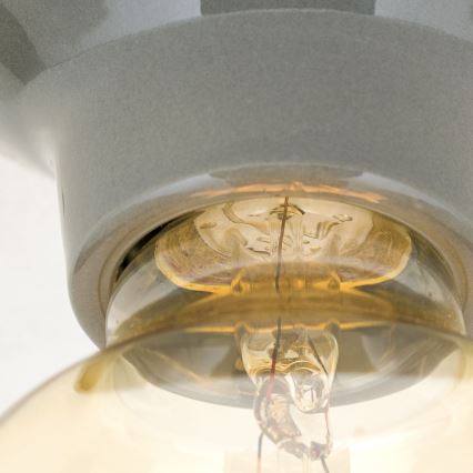 Потолочный светильник FROST 1xE27/60W/230V серый