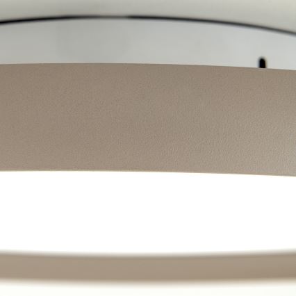 LED потолочный светильник KANT LED/30W/230V 2700/3000/4000K диаметр 40 см бежевый