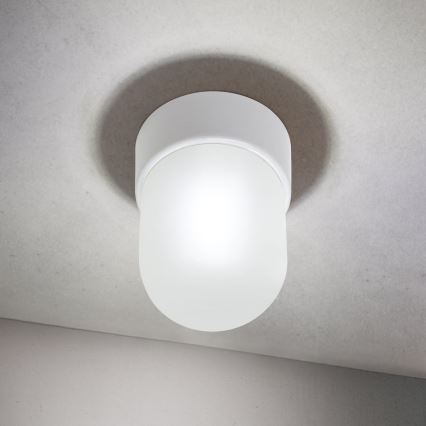 Потолочный светильник OSTIA 1xE27/40W/230V Ø 9,8 см белый