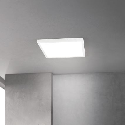 LED стельовий світильник зі змінною яскравістю DISC LED/30W/230V 2700/3000/4000K 39x39 см білий