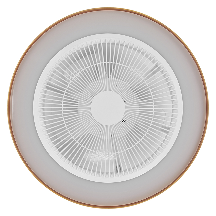 Osram - LED стельовий світильник з регулюванням яскравості та стельовим вентилятором CEILING FAN LED/49W/230V 2700-6500K білий/золотий + пульт дистанційного керування