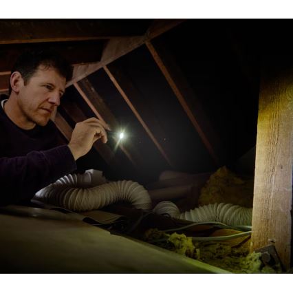 Osram - LED‑фонарь с регулировкой яркости LEDINSPECT TORCH 250 ESSENTIAL LED/2W/2xAAA IP44