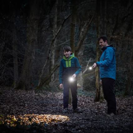 Osram - Диммируемый светодиодный фонарь LEDINSPECT TORCH 450 ESSENTIAL LED/6W/3xAAA IP44