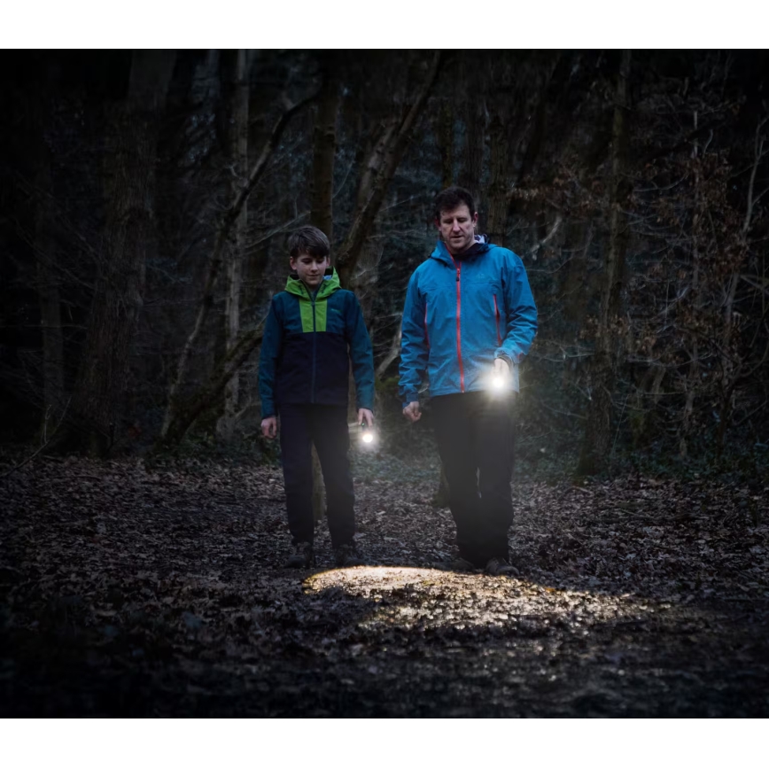 Osram - LED-ліхтар з регулюванням яскравості LEDINSPECT TORCH 450 ESSENTIAL LED/6W/3xAAA IP44