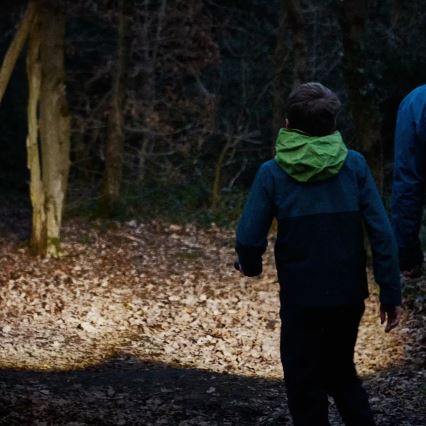 Osram - LED-ліхтар з регулюванням яскравості LEDINSPECT TORCH 450 ESSENTIAL LED/6W/3xAAA IP44