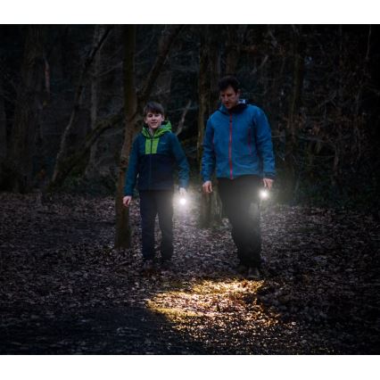 Osram - світлодіодний ліхтар з регульованою яскравістю LEDINSPECT TORCH 350 ESSENTIAL LED/4W/2xAAA IP44