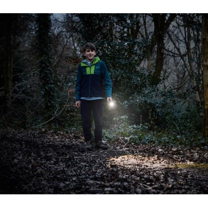 Osram - світлодіодний ліхтар з регульованою яскравістю LEDINSPECT TORCH 350 ESSENTIAL LED/4W/2xAAA IP44