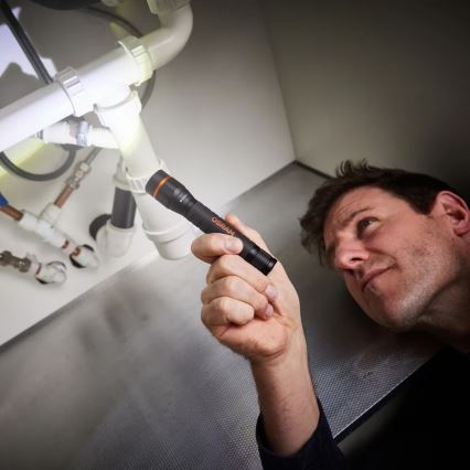 Osram - світлодіодний ліхтар з регульованою яскравістю LEDINSPECT TORCH 350 ESSENTIAL LED/4W/2xAAA IP44