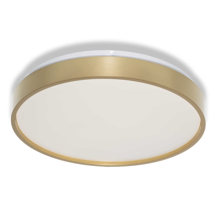 Osram - LED стельовий світильник CEILING LUXO LED/18W/230V, діаметр 32 см, золотистий