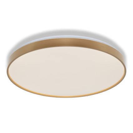 Osram - LED стельовий світильник CEILING LUXO LED/60W/230V, діам. 56 см, золотистий
