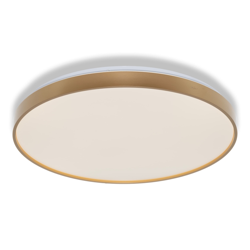 Osram - LED стельовий світильник CEILING LUXO LED/60W/230V, діам. 56 см, золотистий