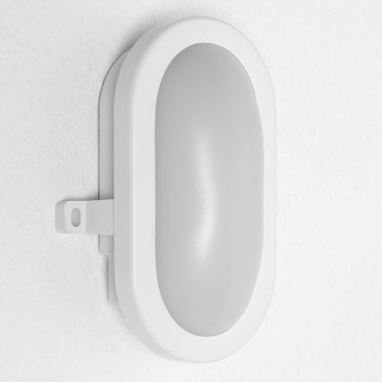 Osram - LED уличный настенный светильник BULKHEAD LED/6W/230V IP54 белый