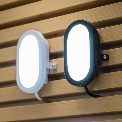 Osram - LED зовнішній настінний світильник BULKHEAD LED/6W/230V IP54 чорний