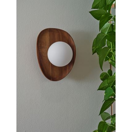 Osram - Настінний світильник ACACIA NEST 1xG9/5W/230V акація