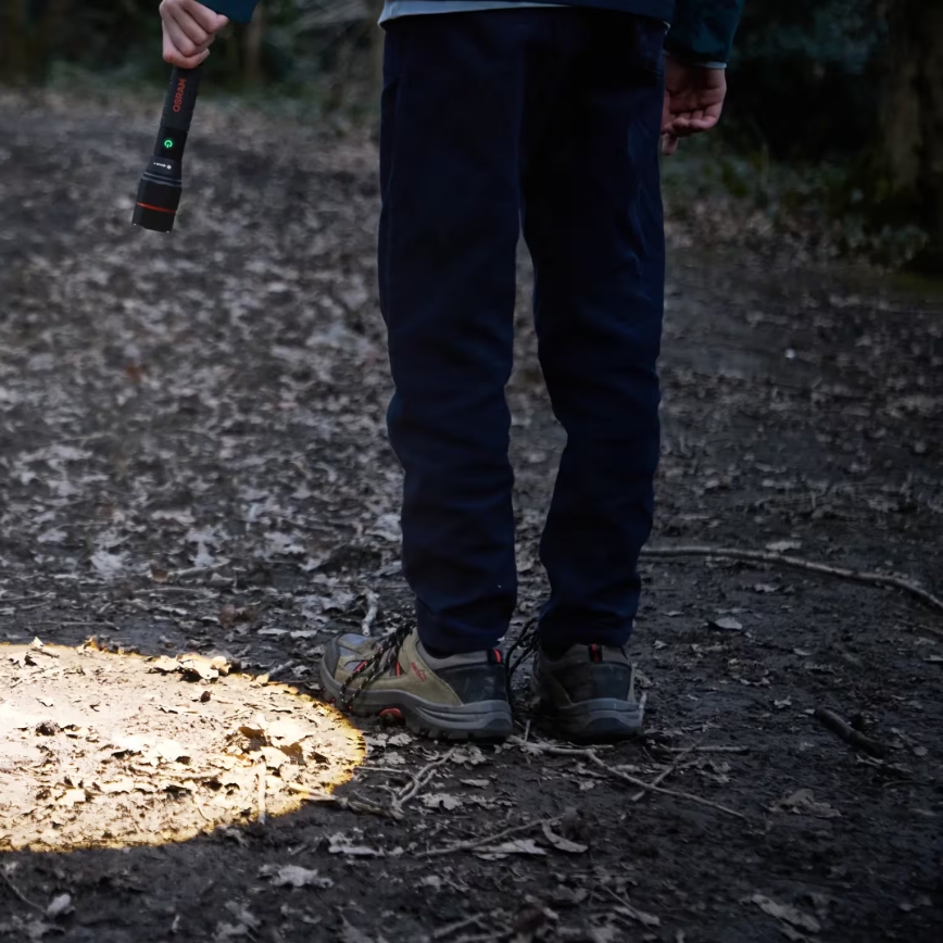 Osram - Перезаряжаемый светодиодный фонарь с регулировкой яркости LEDINSPECT PRO TORCH 1200 LED/13W/3,6V 4000 mAh IP44