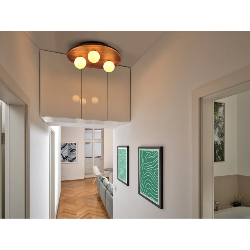 Osram - Стельовий світильник ACACIA NEST 3xG9/5W/230V акація