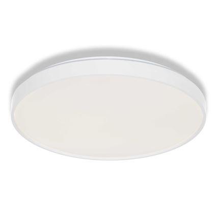 Osram - светодиодный потолочный светильник CEILING LUXO LED/36W/230V, диаметр 49 см, белый