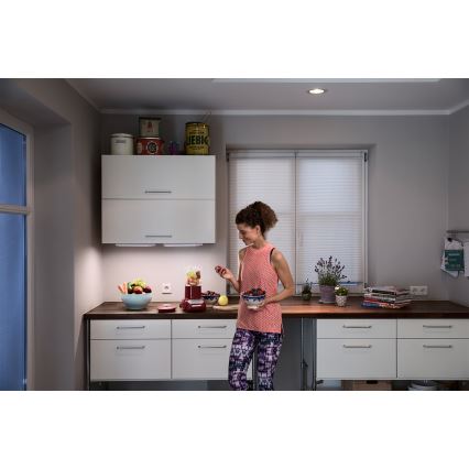 Osram - светодиодный светильник для установки под шкаф LINEAR LED/10W/230V 3000K 55,7 cm серебристый