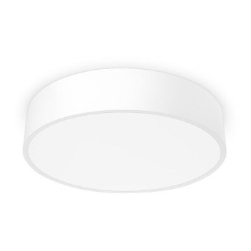 Palnas 61000732 - Светодиодный потолочный светильник RENY 400 LED/30W/230V