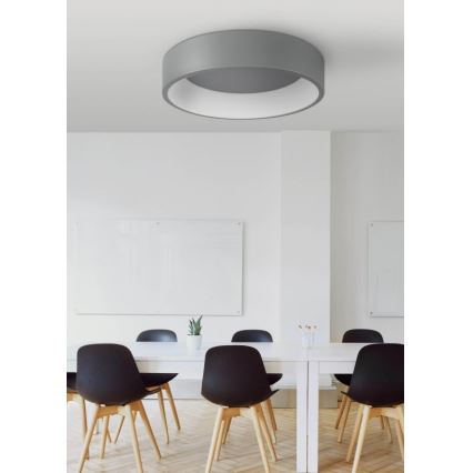Palnas 61003078 - Светодиодный потолочный светильник KAJI LED/20W/230V