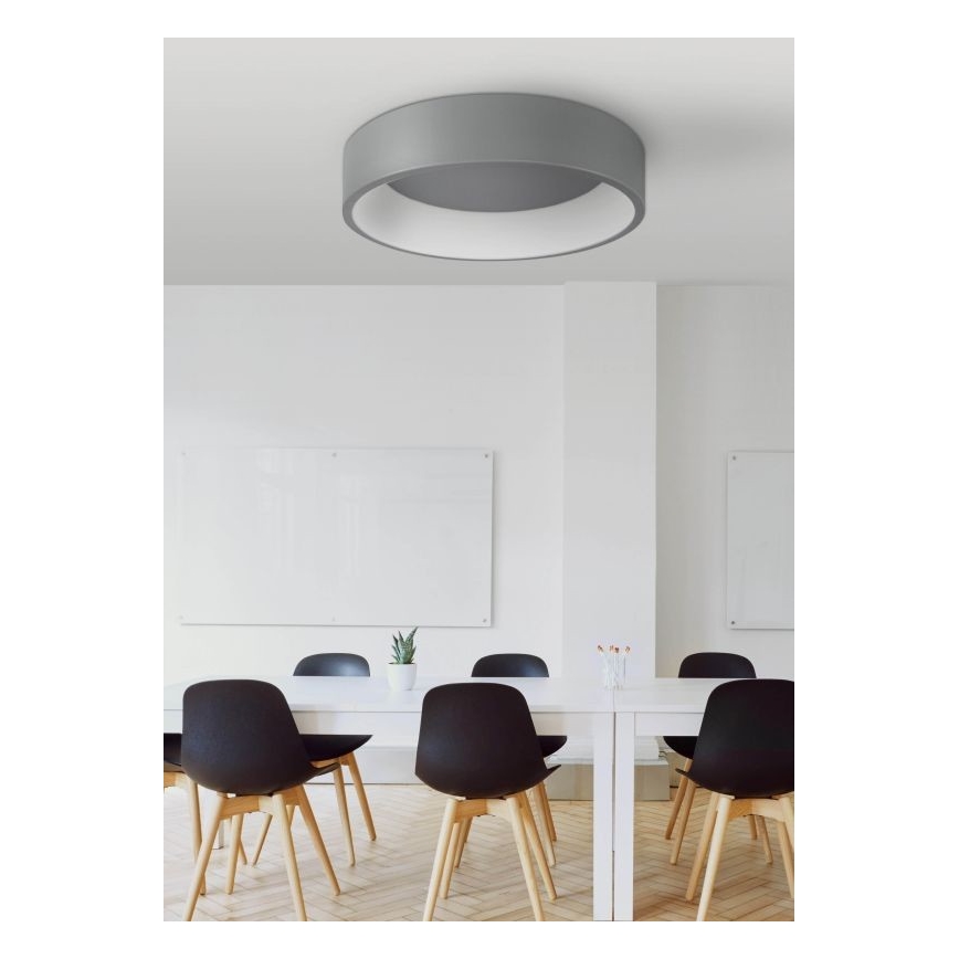 Світлодіодний стельовий світильник KAJI LED/20W/230V