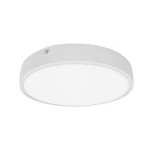 Palnas 61003542 - Светодиодный потолочный светильник для ванной комнаты EGON LED/16W/230V IP44 3000K