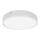 Palnas 61003580 - Светодиодный потолочный светильник для ванной комнаты EGON LED/30W/230V IP44 3000K
