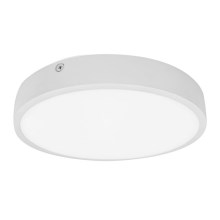Palnas 61003580 - Светодиодный потолочный светильник для ванной комнаты EGON LED/30W/230V IP44 3000K