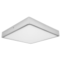 Palnas 61003658 - Светодиодный потолочный светильник для ванной комнаты EGON LED/30W/230V IP44 4000K