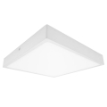 Palnas 61003665 - Светодиодный потолочный светильник для ванной комнаты EGON LED/30W/230V IP44 3000K