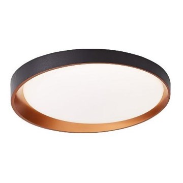 Palnas 61004563 - Светодиодный потолочный светильник ADEL LED/40W/230V ø 50 см черный