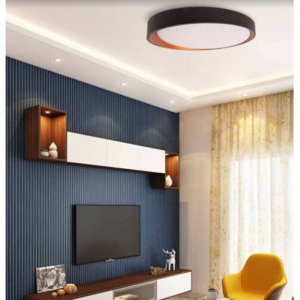 Світлодіодний стельовий світильник ADEL LED/40W/230V