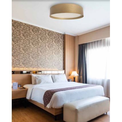 Стельовий LED світильник SOFIE LED/50W/230V