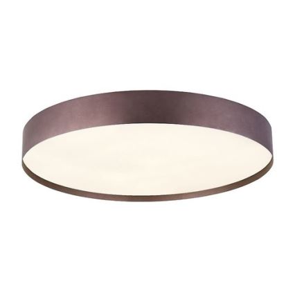 Стельовий LED світильник SOFIE LED/50W/230V