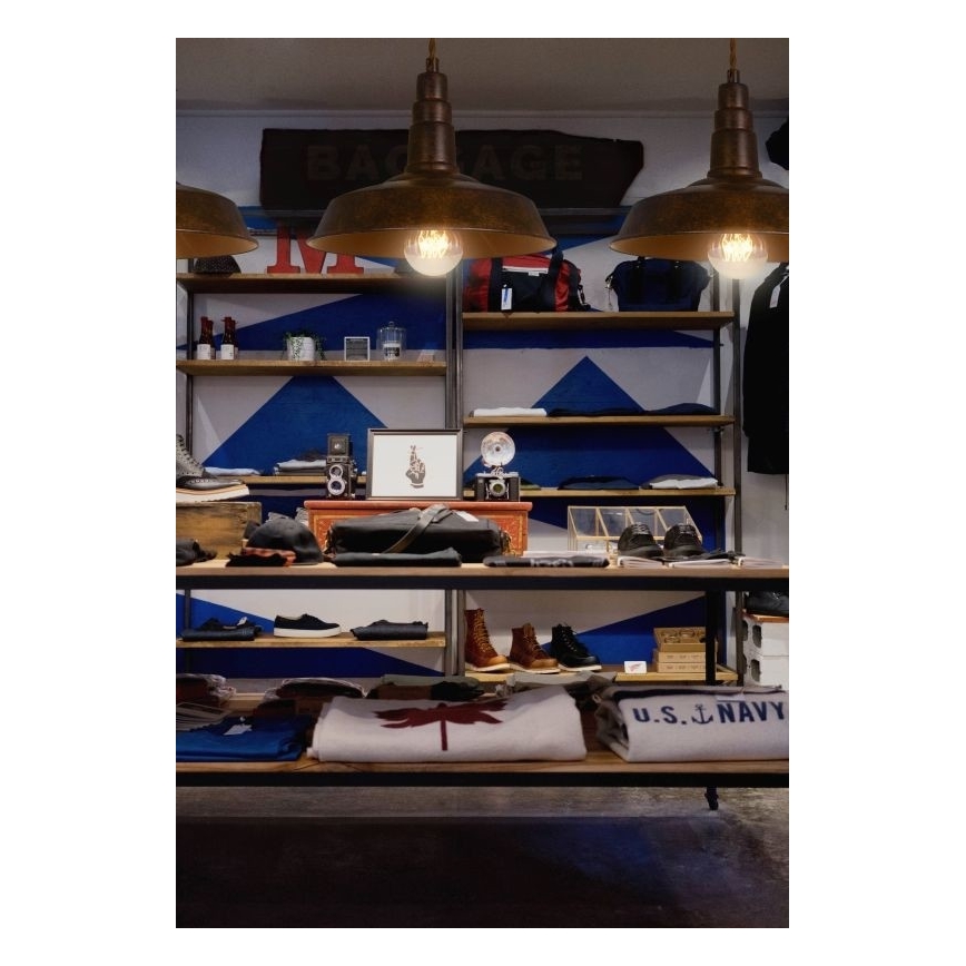 Palnas 62001555 - Люстра на тросе VESNA 1xE27/60W/230V