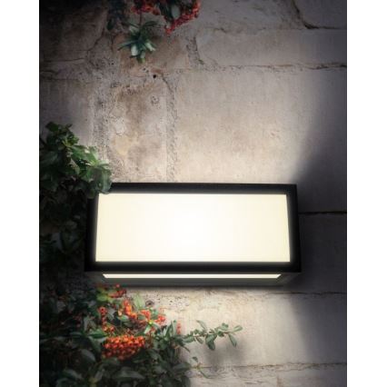 Palnas 66001388 - Уличный настенный светильник TONY 1xE27/18W/230V IP54