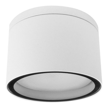 Palnas 66003481 - Уличный потолочный светильник ARON 1xGX53/15W/230V IP54