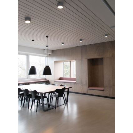 Palnas 66003498 - Уличный потолочный светильник  ARON 1xGX53/15W/230V IP54