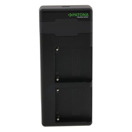 PATONA - Быстрое зарядное устройство Dual Sony F550/F750/F970/FM50 + кабель USB-C 0,6м