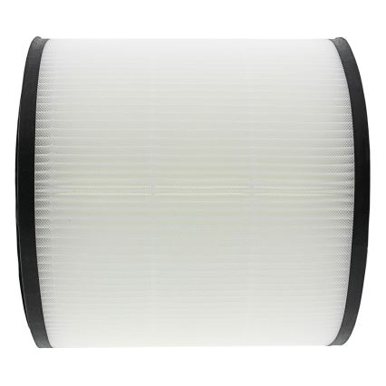 PATONA - HEPA-фильтр FY0194/30 для Philips AC0820/10 - AB0820/30 серии 800
