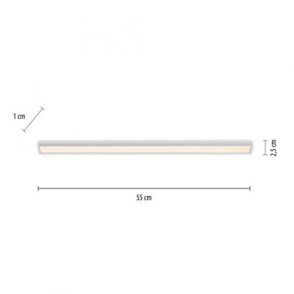 Paul Neuhaus 1125-21-A - LED Розширювальний підсвітковий світильник AMON LED/6W/12/230V