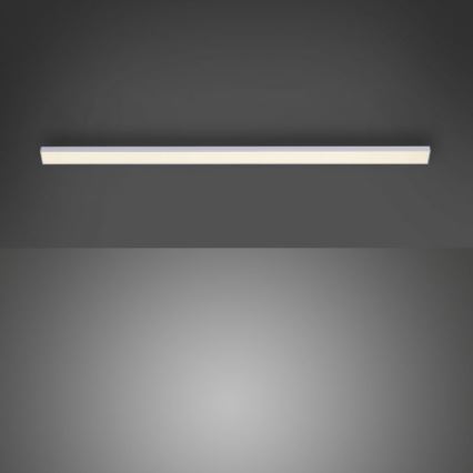 Paul Neuhaus 1125-21-A - LED Розширювальний світильник  для підсвітки стільниці AMON LED/6W/12/230V