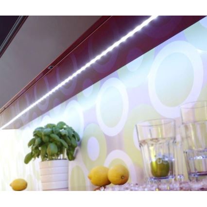 Paul Neuhaus 1205-70 - Светодиодная диммируемая RGB-лента TEANIA 10m LED/30W/12/230V + пульт ДУ