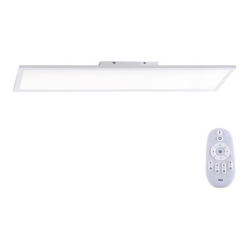 Paul Neuhaus 16533-16-O - Пристельова LED панель з регулюванням яскравості FLAT LED/24W/230V 2700-5000K білий + дистанційне керування