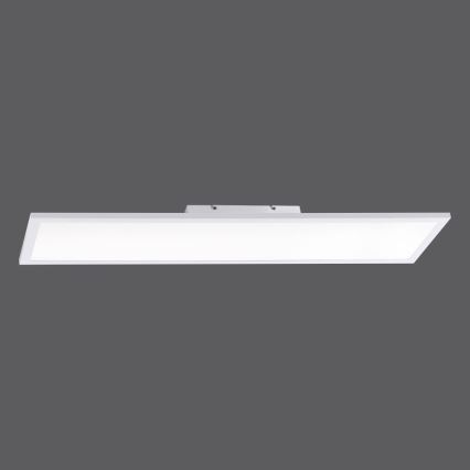 Paul Neuhaus 16533-16-O - Пристельова LED панель з регулюванням яскравості FLAT LED/24W/230V 2700-5000K білий + дистанційне керування