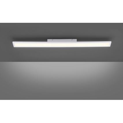 Paul Neuhaus 16537-16-O - Пристельова LED панель з регулюванням яскравості FLAT LED/21W/230V + дистанційне керування