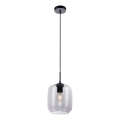 Paul Neuhaus 2002-25 - Підвісна люстра SHITAKE 1xE27/10W/230V діаметр 20 см димчастий